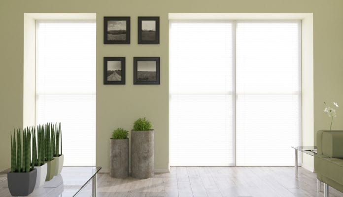 There are blinds between the glass panes in the hall, alongside plants.