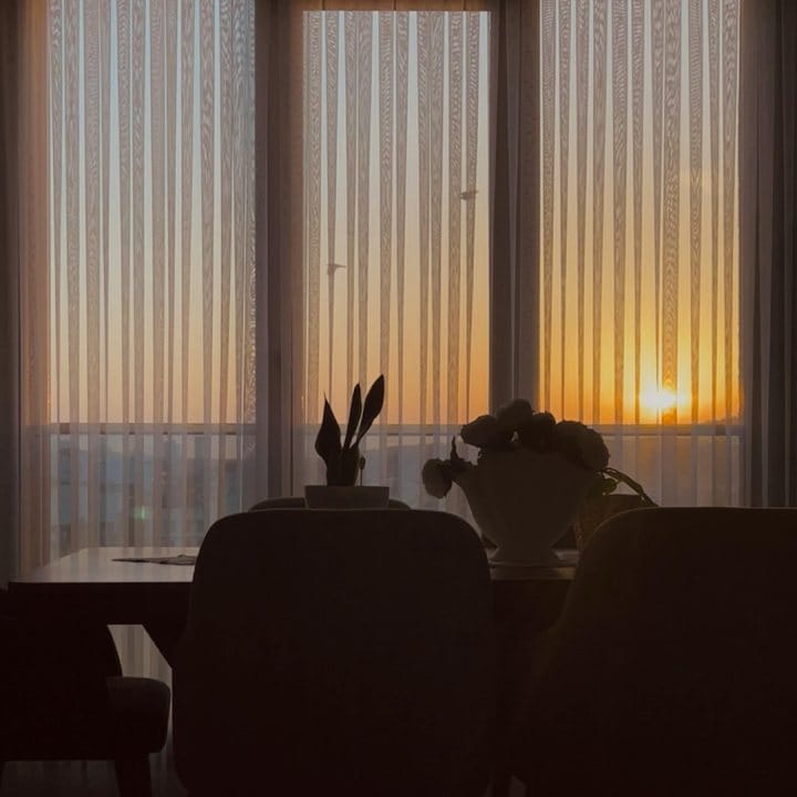 sheer curtains in sunset near a plant